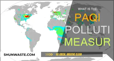 Understanding PAQI: Pollution Measure Simplified