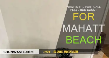 Particle Pollution: Manhattan Beach's Air Quality Crisis