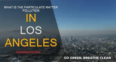 Los Angeles' Air: Particulate Matter Pollution Explained