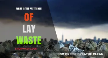 Understanding the Past Tense of 'Lay Waste': A Grammar Guide