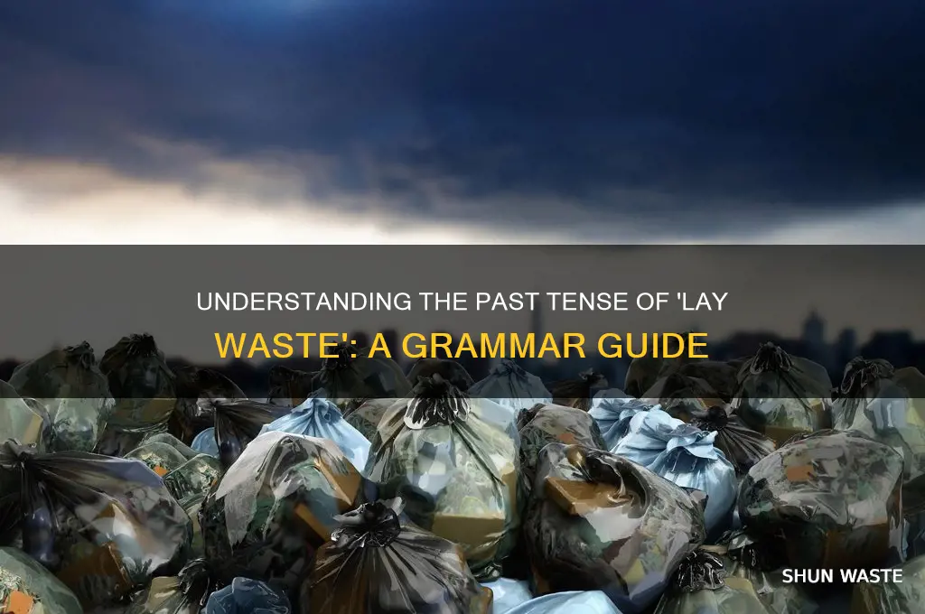 what is the past tense of lay waste