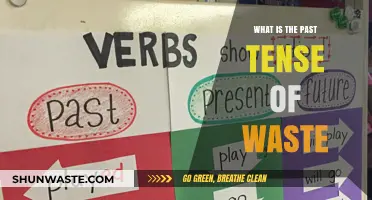Exploring the Past Tense of Waste: Grammar Insights and Usage Tips