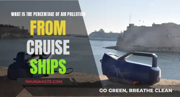 Cruise Ships: How Much Do They Pollute Our Air?