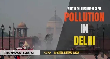 Delhi's Air Pollution: A Critical Analysis