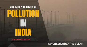Air Pollution in India: What's the Percentage?