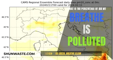 Air Quality Alert: How Polluted is Our Air?