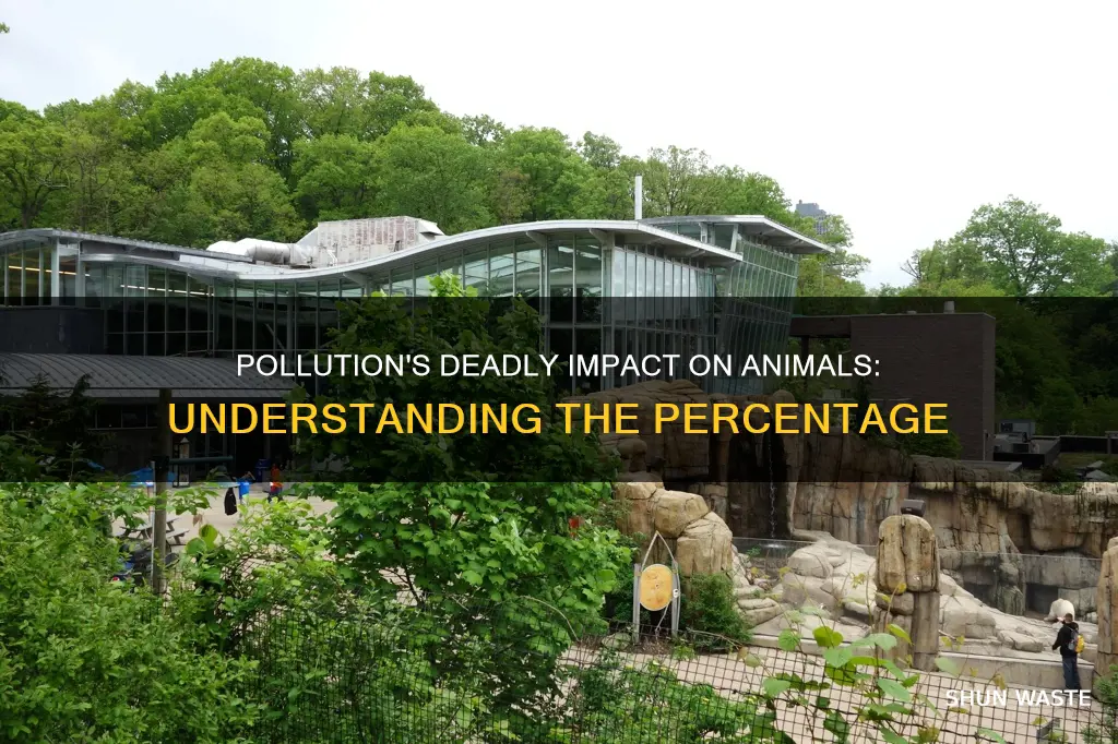 what is the percentage of animals diying from pollution