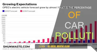 Car Pollution: How Much is Too Much?