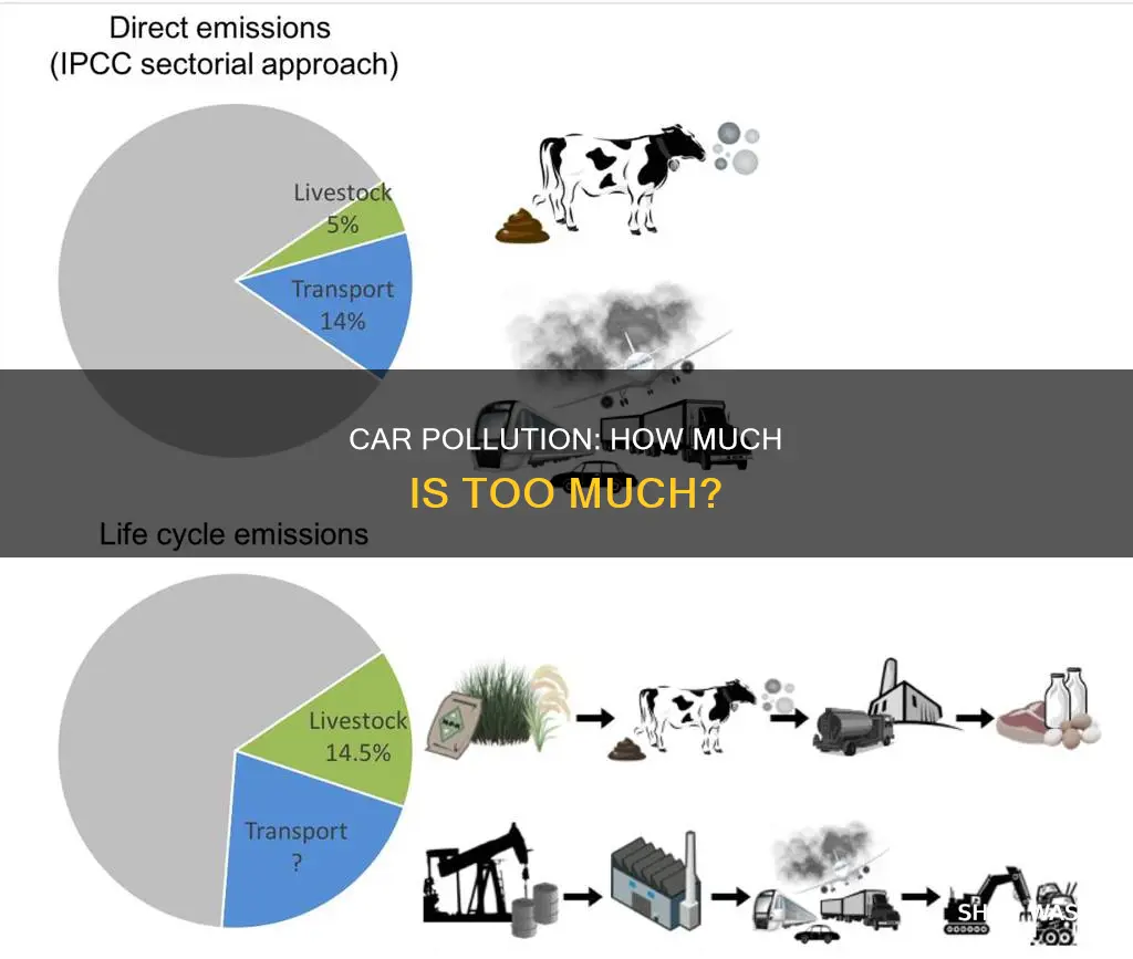 what is the percentage of car pollution