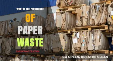 Understanding the Alarming Percentage of Paper Waste Globally