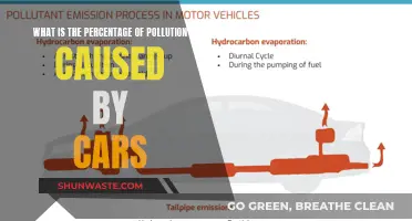 Unveiling the Car's Impact: A Pollution Percentage Analysis