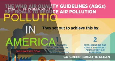 Pollution in America: Understanding the Percentage