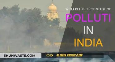 India's Pollution Crisis: Understanding the Percentage