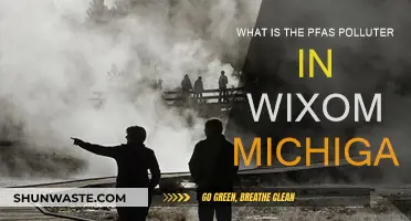 Who Polluted Wixom, Michigan's Water with PFAS?