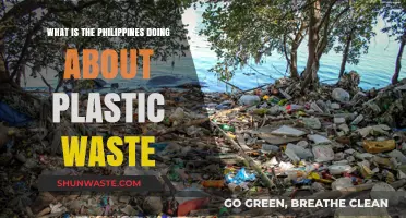 Philippines' Battle Against Plastic Waste: Initiatives and Progress