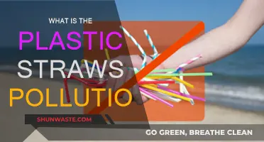 Plastic Straws: Ocean Pollution's Hidden Danger