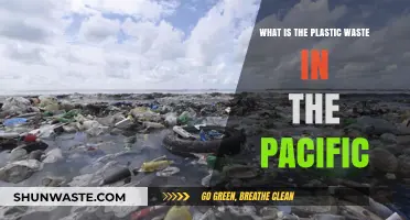 Pacific Plastic Crisis: Understanding the Ocean's Growing Waste Problem