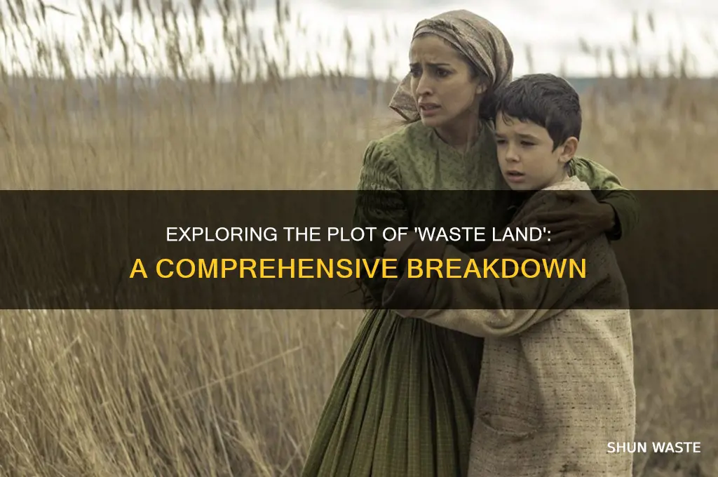 what is the plot of waste land