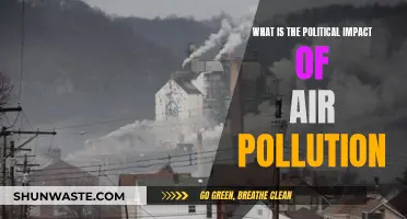 Air Pollution Politics: Impact and Influence