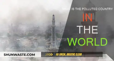 World's Most Polluted Country: A Toxic Reality