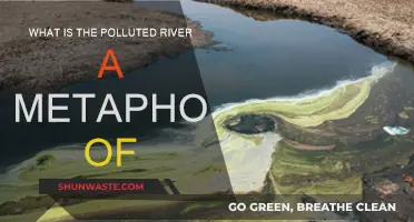 The Polluted River: A Metaphor for Our Troubled Times
