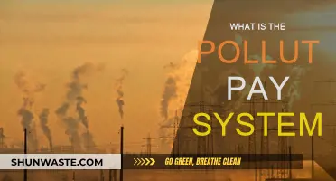 Polluter Pays Principle: Making Polluters Pay for Environmental Damage