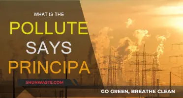 Polluter Pays Principle: Who Pays for Environmental Damage?