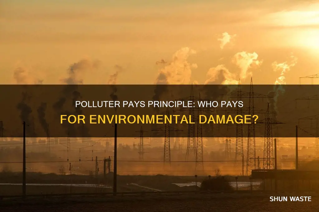what is the polluter says principal
