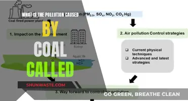 Unveiling Coal's Dark Legacy: The Name of Its Pollution