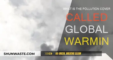 Greenhouse Effect: Pollution Covering Our Planet