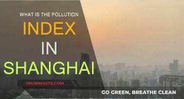 Shanghai's Pollution Index: A Comprehensive Overview
