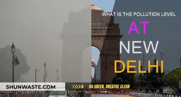 Delhi's Air Pollution: A Critical Analysis