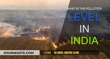 India's Pollution Crisis: A Comprehensive Overview