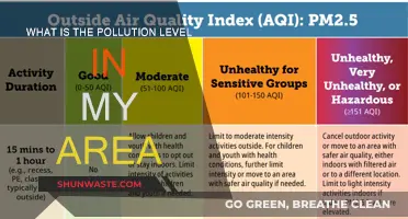 Local Air Quality: Pollution Levels Unveiled
