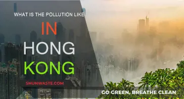 Hong Kong's Pollution: A City's Battle