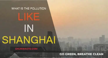 Shanghai's Pollution: A City's Battle