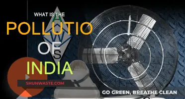 India's Pollution Crisis: A National Emergency
