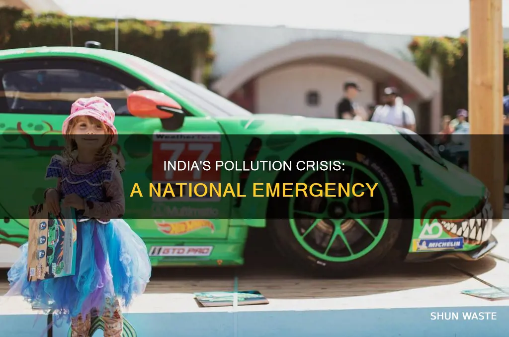 what is the pollution of india