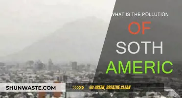 South America's Pollution Crisis: An Overview