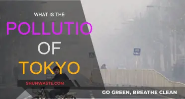 Tokyo's Pollution Problem: Causes and Effects