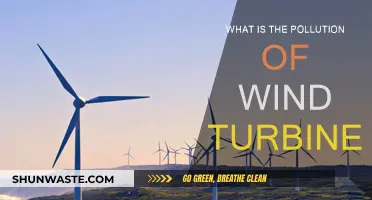 Wind Turbine Pollution: What's the Harm?