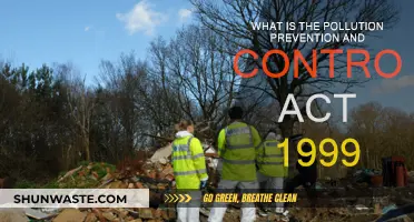 Understanding the Pollution Prevention and Control Act 1999