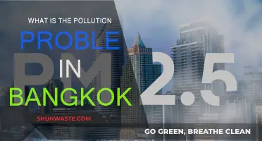 Bangkok's Pollution Problem: A City Choking on Success