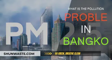 Bangkok's Pollution Problem: A City Chokes