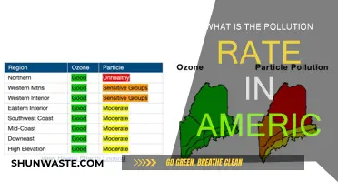 Air Pollution in America: A Troubling Reality