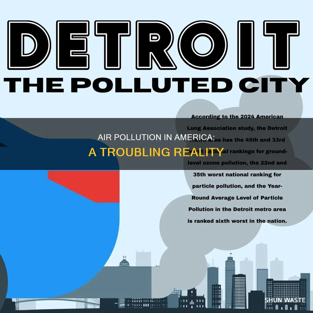 what is the pollution rate in america
