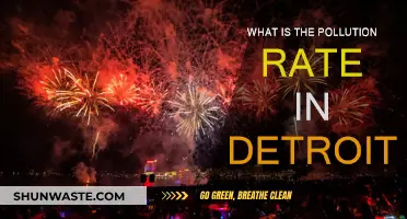 Detroit's Pollution Crisis: Rates and Realities