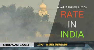 India's Pollution Crisis: Rates and Realities