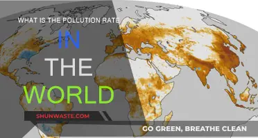 Pollution Rates: A Global Crisis