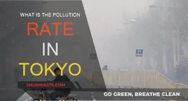 Tokyo's Pollution Crisis: Rates and Realities